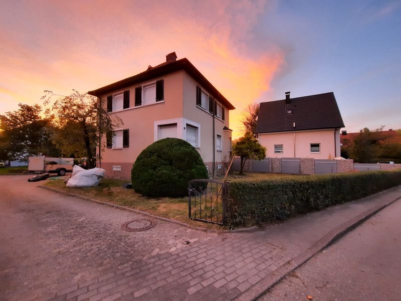 Gepflegter Vorgarten mit Formschnitt-Kugel im Abendlicht